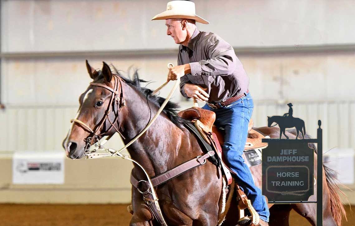 Horse Trainer - Texas, New Mexico, colorado