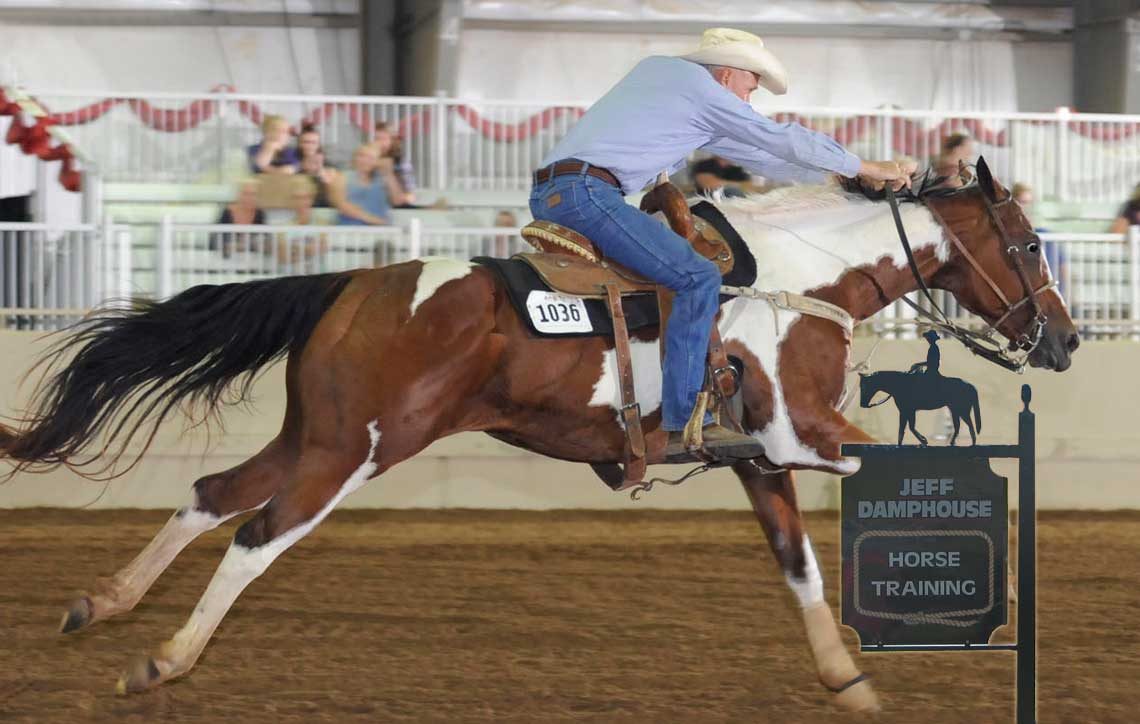 USA Horse Training Expert Jeff Damphouse - Oklahoma