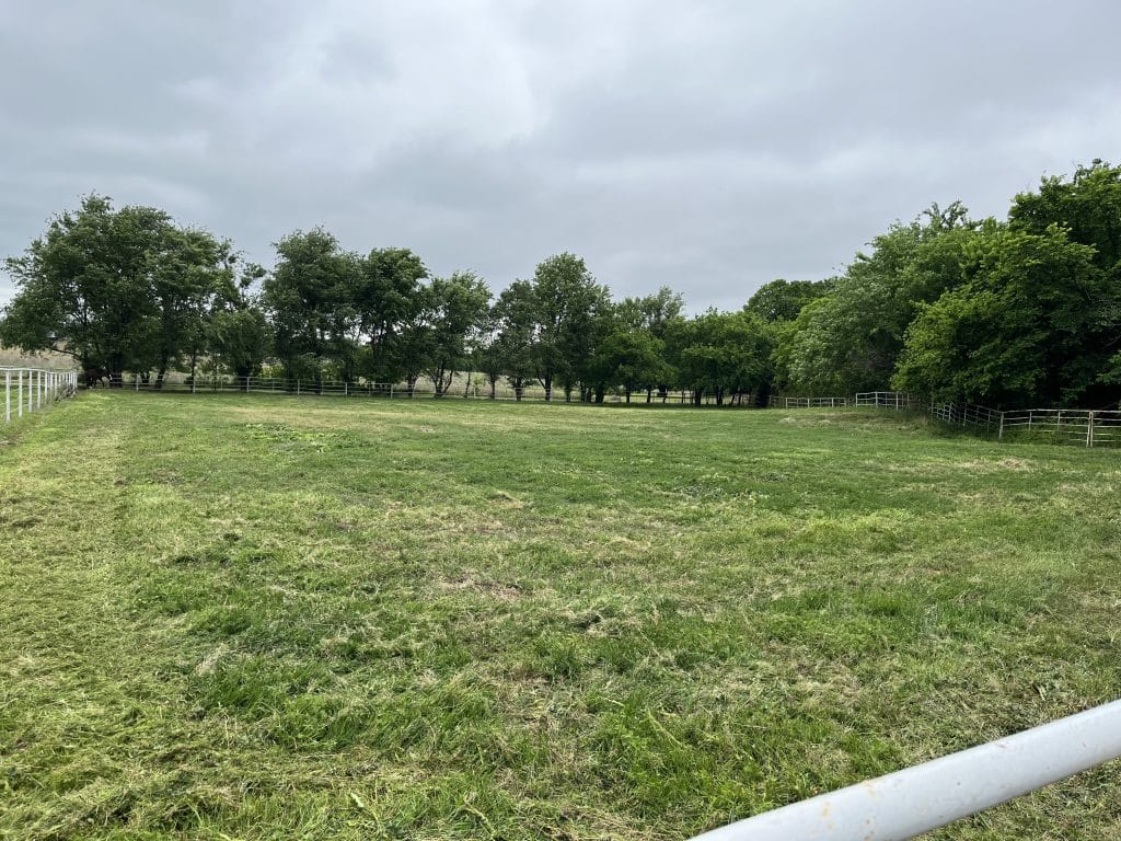 Back Pasture