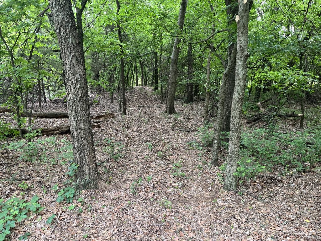 Trail