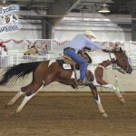 Jeff and SQH Cappuccino winning the Open Keyhole at the Pinto World Show. Jeff & SQH Cappuccino