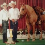JEFF AND DOUBLE TWIST OF GOLD FINISHED TWICE IN THE TOP FIVE AT THE PALOMINO WORLD SHOW