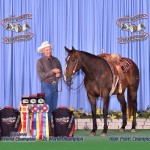 JEFF AND BETTY AT THE PINTO WORLD SHOW
