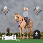 JEFF AND STREAKIN'S WIN PHOTO AT THE APHA WORLD SHOW IN FORT WORTH, TX